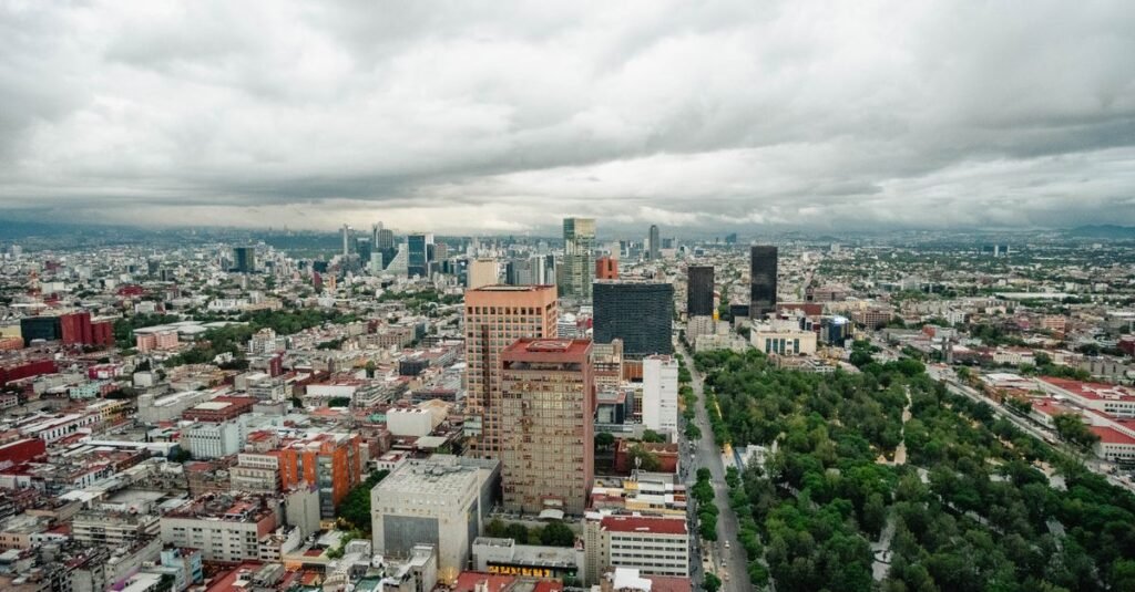Coches y peatones en una calle urbana concurrida en Ciudad de México, bordeada de árboles y edificios.