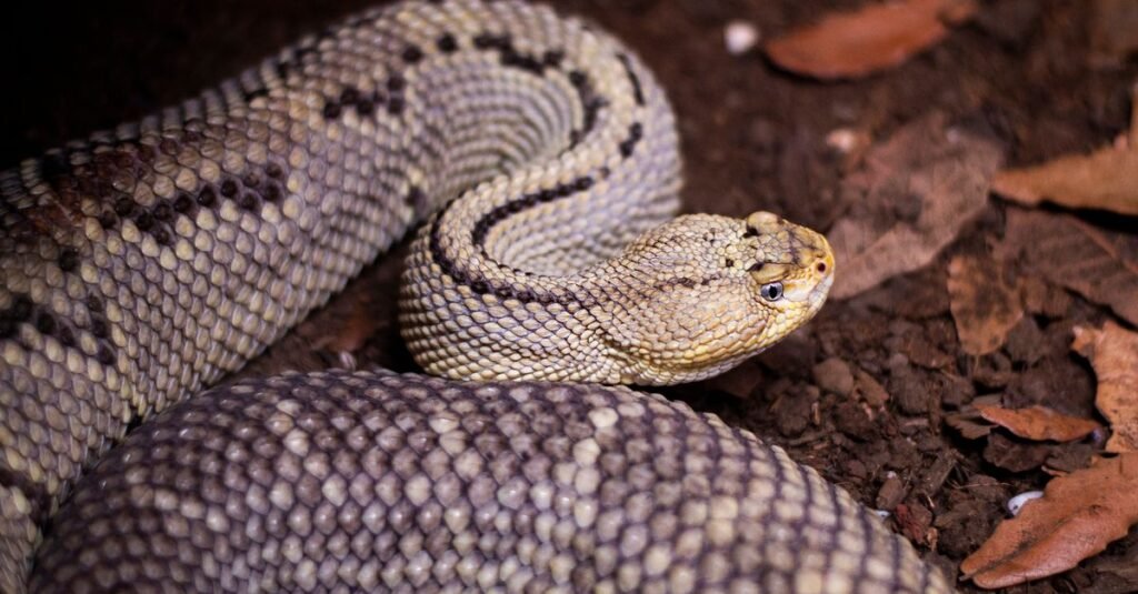 Un vibrante loro verde extiende sus alas mientras se posa en un brazo humano en un entorno exterior exuberante.