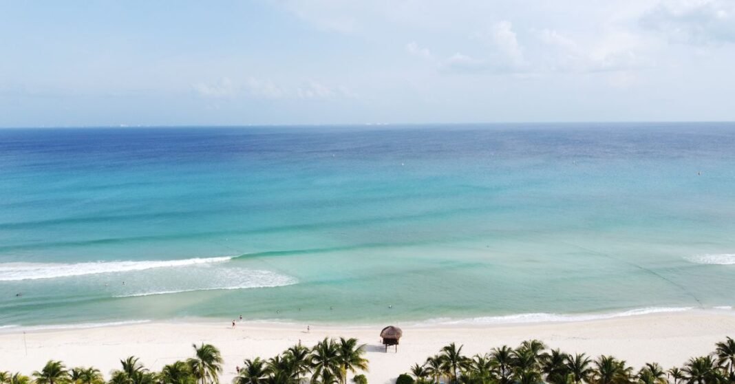 Sargazo mantiene presión ambiental y turística en las costas de Quintana Roo Impresionante vista aérea de una playa tropical en Playa del Carmen, México, con aguas azules y palmeras.