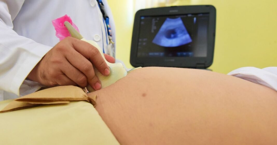IMSS reporta aumento de 42% en médicos especialistas de IMSS-Bienestar Profesional médico realizando un ultrasonido a un paciente en un entorno clínico.