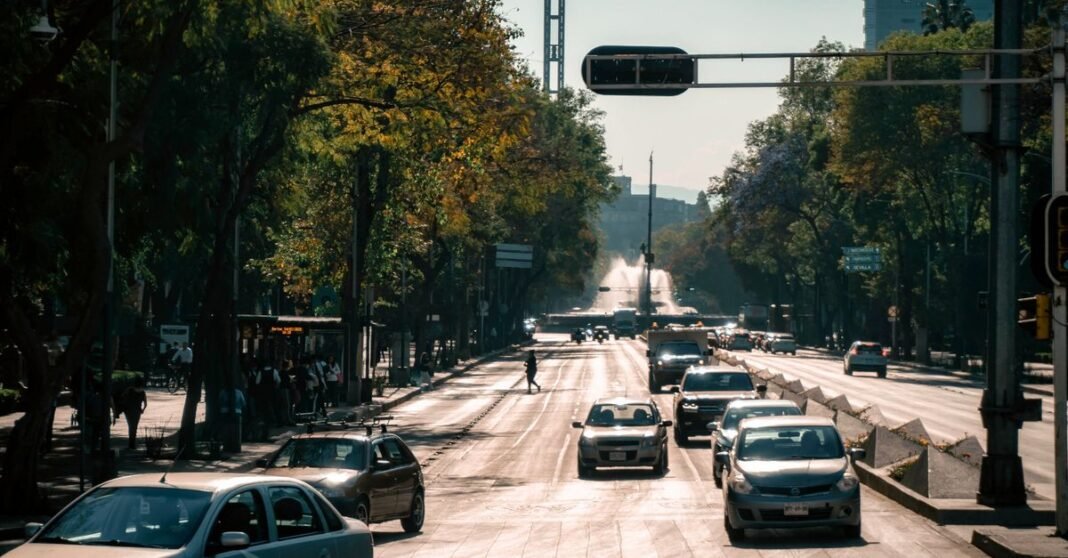 Alerta Amarilla por lluvias se extendió a las 16 alcaldías de CDMX; reportan encharcamientos en Edomex Coches y peatones en una calle urbana concurrida en Ciudad de México, bordeada de árboles y edificios.
