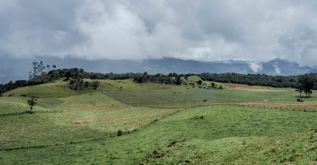 Reportes sobre operativos contra disidencias en Colombia no pudieron corroborarse de forma independiente Una hermosa vista del exuberante campo verde en Machetá, Cundinamarca, Colombia, bajo un cielo nublado.
