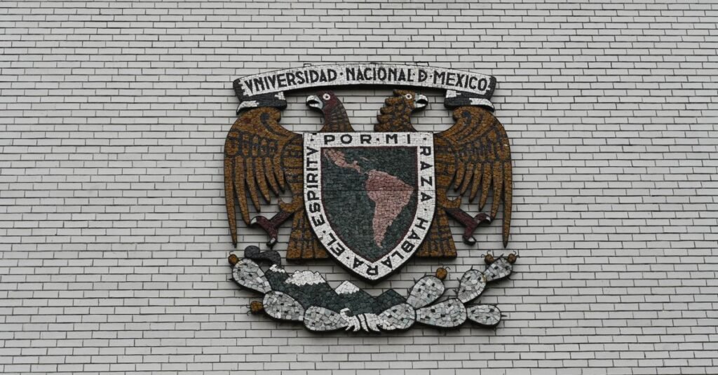 Un joven se concentra en sus estudios en un aula vacía de Buenos Aires, bañada por la luz natural.