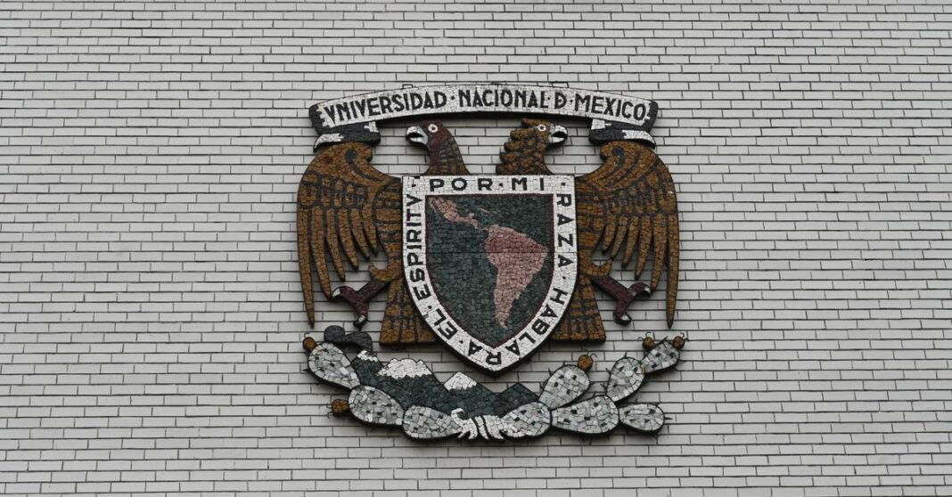 UNAM aplica en León examen de control sin internet y con supervisión presencial Un joven se concentra en sus estudios en un aula vacía de Buenos Aires, bañada por la luz natural.