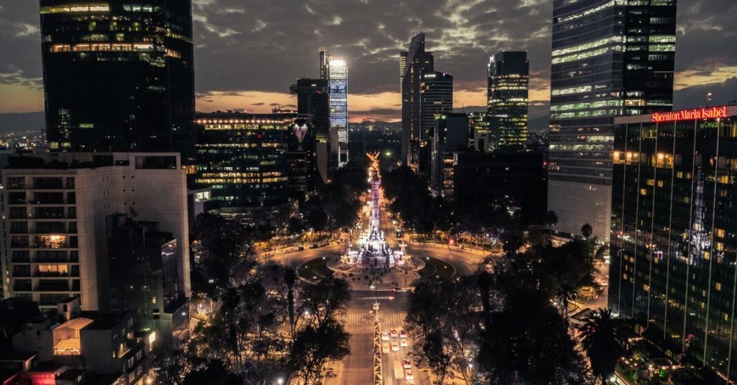 Qué está pasando con las palmeras de la CDMX y por qué se están muriendo Coches y peatones en una calle urbana concurrida en Ciudad de México, bordeada de árboles y edificios.