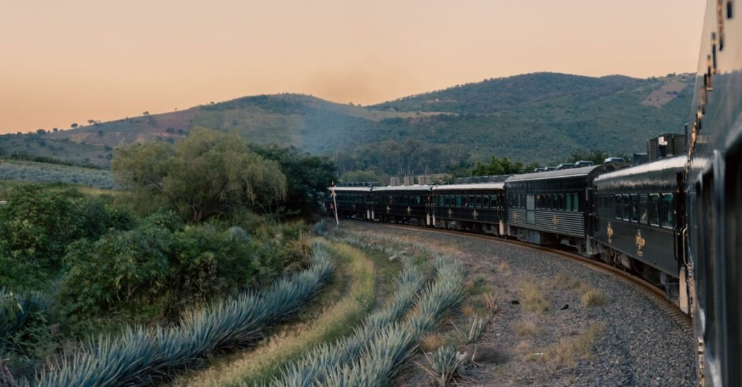 No se ha podido corroborar la prisión preventiva contra la presunta apoderada legal de Ingemar Tren vintage viajando a través de plantaciones de agave y colinas en Tequila, México al atardecer.