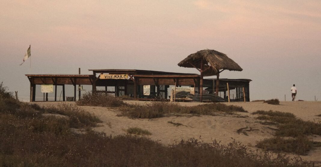 Madres buscadoras localizan 30 fosas clandestinas en Sonora, en una jornada de búsqueda en El Choyudo Una toma serena de una cabaña de playa rústica y las dunas circundantes al atardecer en Puerto Escondido, México.