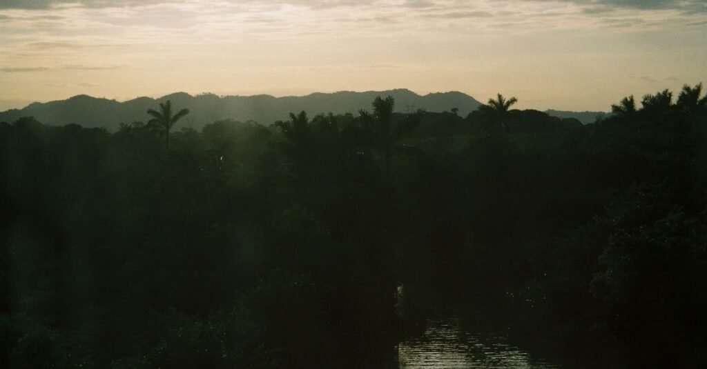 Una escena tranquila de un río rodeado de exuberante vegetación al amanecer en Veracruz, México.