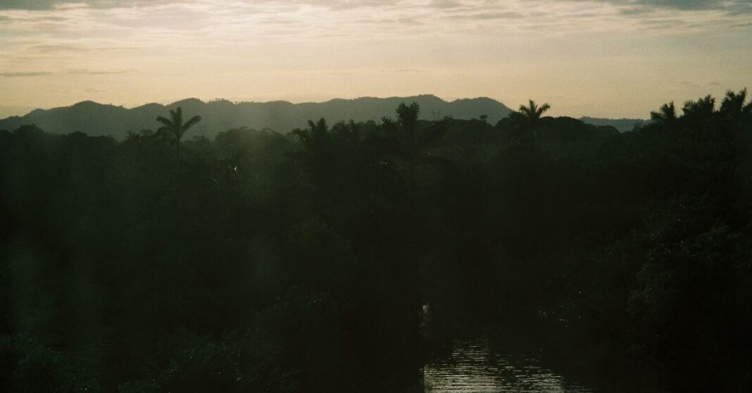 Conagua aclara cambios a la reforma de aguas y niega afectaciones a agricultores Una escena tranquila de un río rodeado de exuberante vegetación al amanecer en Veracruz, México.