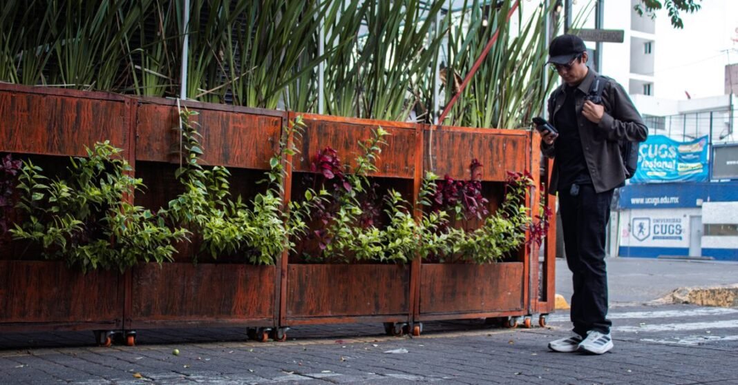 Gobierno federal abre consulta sobre celulares en escuelas; aún no hay una prohibición nacional definida Un joven se concentra en sus estudios en un aula vacía de Buenos Aires, bañada por la luz natural.