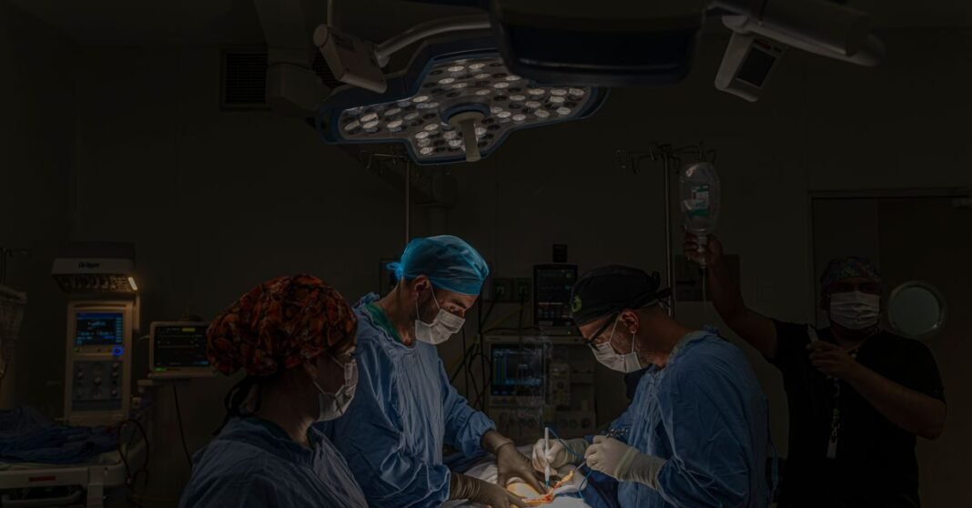 México amplía la contratación de médicos cubanos para cubrir vacantes en zonas remotas Profesional médico realizando un ultrasonido a un paciente en un entorno clínico.