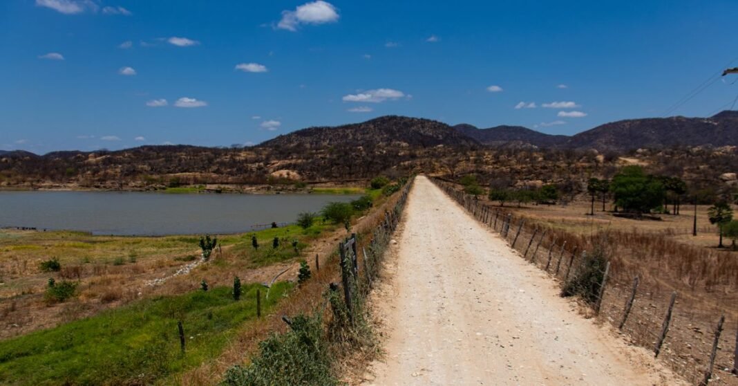 Un Border Collie de pie junto a un río sereno en un entorno natural en León de los Aldama, México.