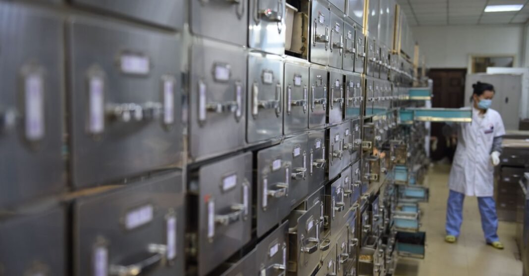 Salud adjudica 3,200 millones de piezas en primera licitación de medicamentos para 2027-2028 Un técnico de laboratorio organiza cajones de almacenamiento metálico en una instalación de investigación, manteniendo el orden y la eficiencia.