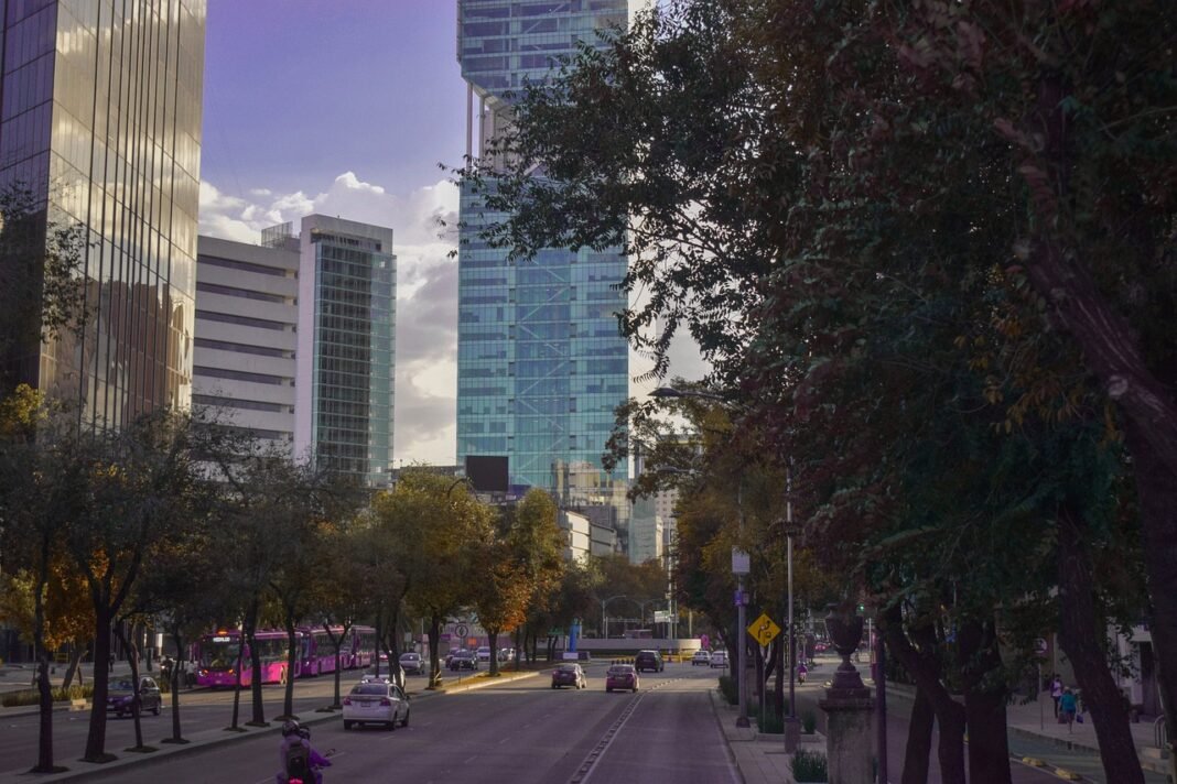 Hoy No Circula: estos autos descansan el viernes 18 de septiembre en CDMX y Edomex Tráfico vehicular en una avenida urbana de la Ciudad de México.